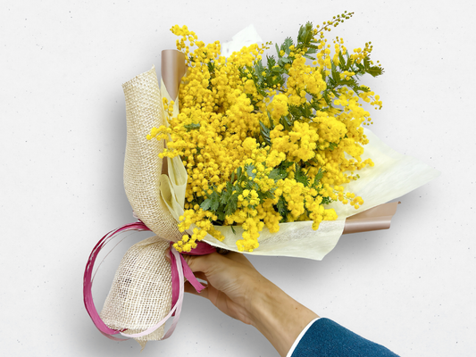 【春限定】ふんわりミモザのブーケ｜ホワイトデーに贈る黄色い花束